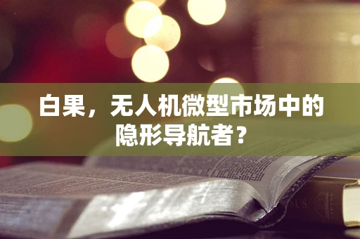 白果，无人机微型市场中的隐形导航者？