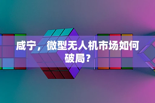 咸宁，微型无人机市场如何破局？