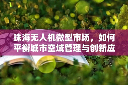 珠海无人机微型市场，如何平衡城市空域管理与创新应用？