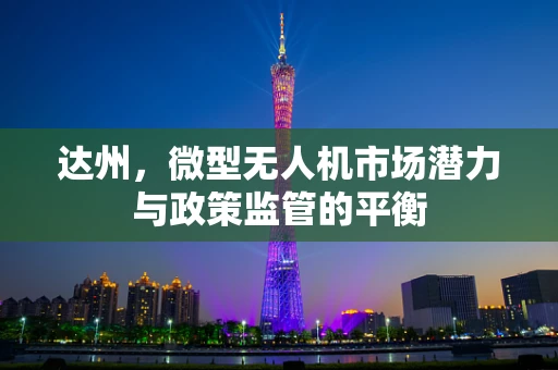 达州，微型无人机市场潜力与政策监管的平衡