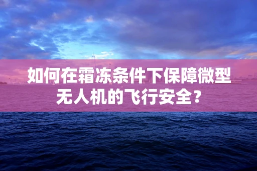 如何在霜冻条件下保障微型无人机的飞行安全？