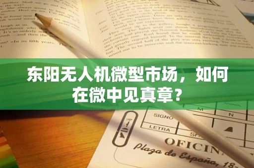 东阳无人机微型市场，如何在微中见真章？