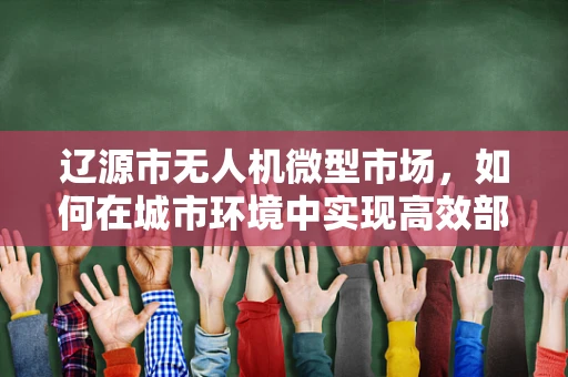 辽源市无人机微型市场，如何在城市环境中实现高效部署？