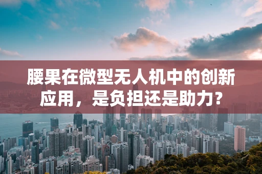 腰果在微型无人机中的创新应用，是负担还是助力？