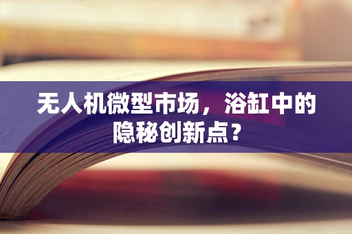 无人机微型市场，浴缸中的隐秘创新点？