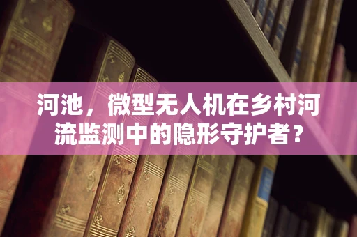 河池，微型无人机在乡村河流监测中的隐形守护者？