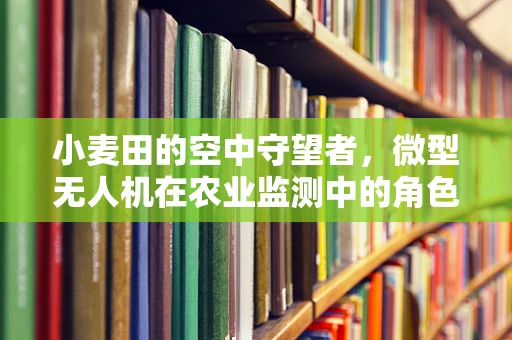 小麦田的空中守望者，微型无人机在农业监测中的角色与挑战