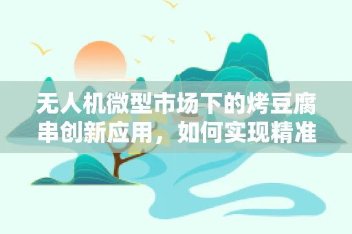 无人机微型市场下的烤豆腐串创新应用，如何实现精准空中送餐？