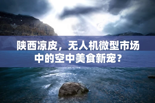 陕西凉皮，无人机微型市场中的空中美食新宠？