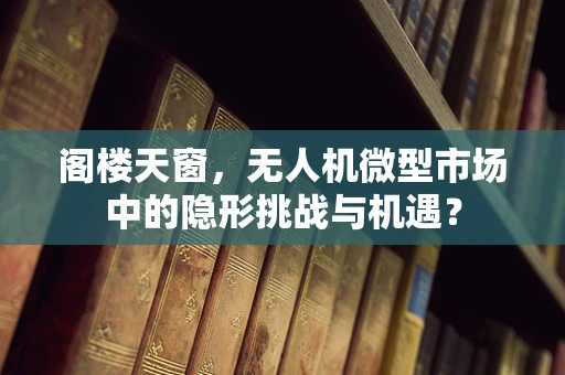 阁楼天窗，无人机微型市场中的隐形挑战与机遇？