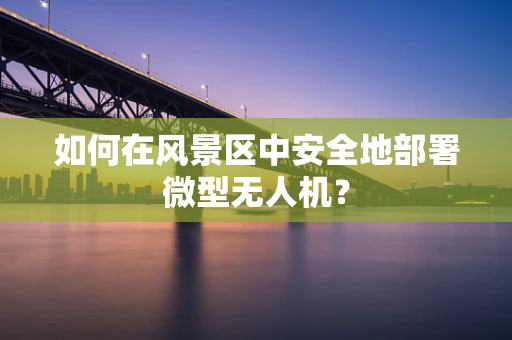 如何在风景区中安全地部署微型无人机？