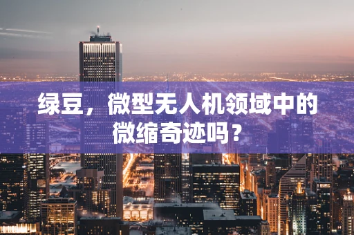 绿豆，微型无人机领域中的微缩奇迹吗？