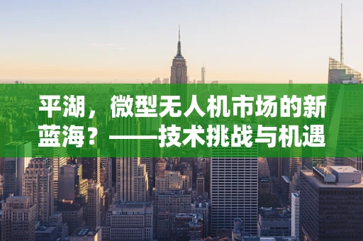 平湖，微型无人机市场的新蓝海？——技术挑战与机遇并存