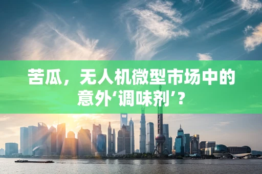 苦瓜，无人机微型市场中的意外‘调味剂’？