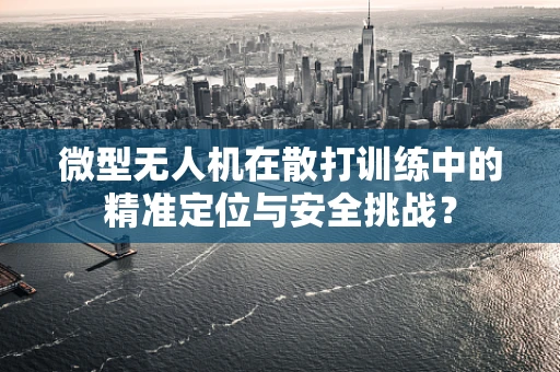 微型无人机在散打训练中的精准定位与安全挑战？