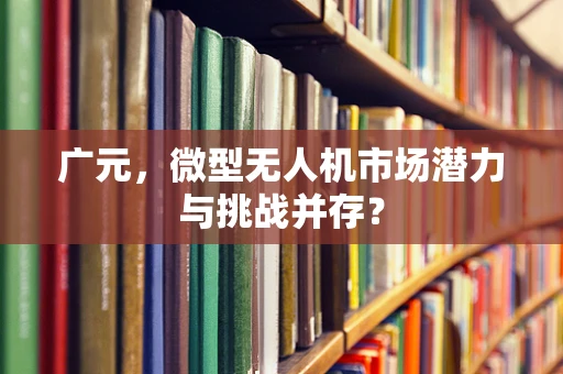 广元，微型无人机市场潜力与挑战并存？