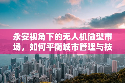 永安视角下的无人机微型市场，如何平衡城市管理与技术创新的微妙平衡？