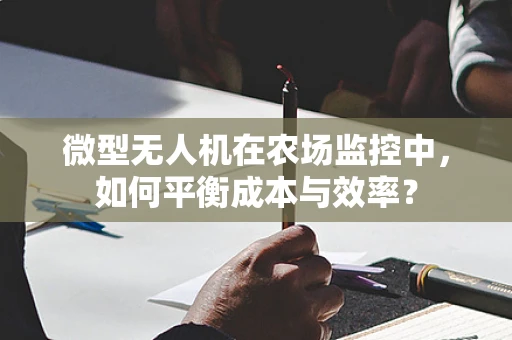 微型无人机在农场监控中，如何平衡成本与效率？