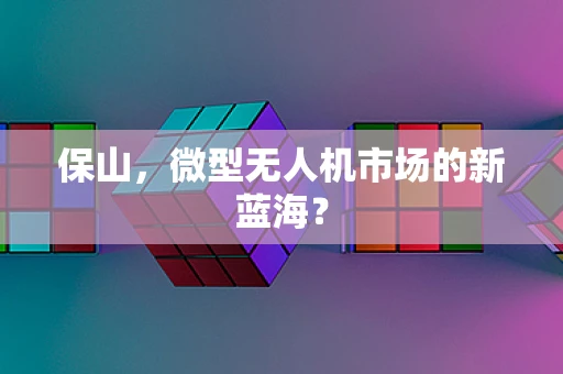 保山，微型无人机市场的新蓝海？