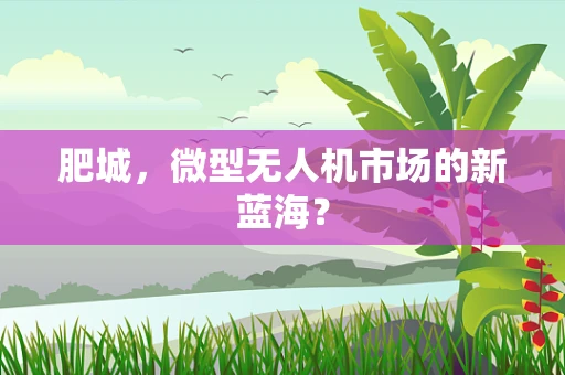 肥城，微型无人机市场的新蓝海？