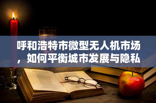 呼和浩特市微型无人机市场，如何平衡城市发展与隐私保护？