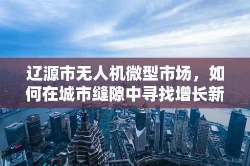 辽源市无人机微型市场，如何在城市缝隙中寻找增长新机遇？