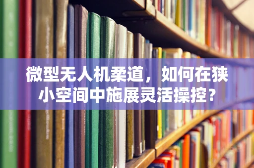 微型无人机柔道，如何在狭小空间中施展灵活操控？