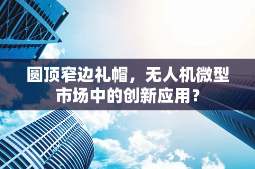 圆顶窄边礼帽，无人机微型市场中的创新应用？