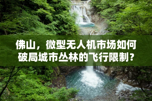 佛山，微型无人机市场如何破局城市丛林的飞行限制？