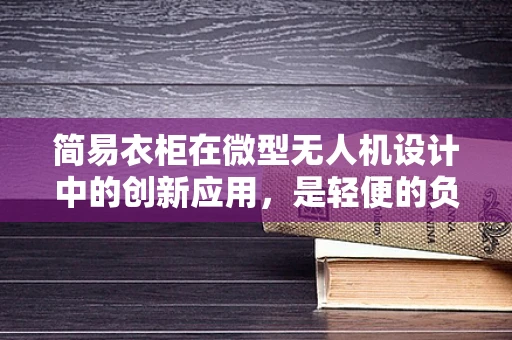 简易衣柜在微型无人机设计中的创新应用，是轻便的负担还是智慧的解法？