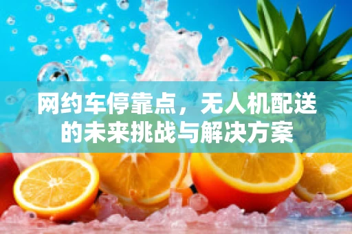 网约车停靠点，无人机配送的未来挑战与解决方案