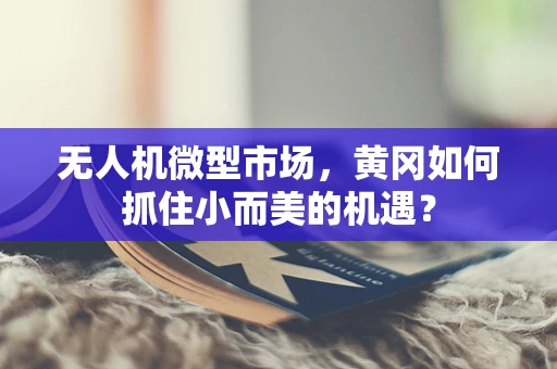 无人机微型市场，黄冈如何抓住小而美的机遇？