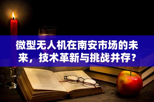 微型无人机在南安市场的未来，技术革新与挑战并存？