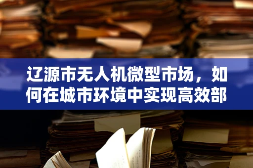 辽源市无人机微型市场，如何在城市环境中实现高效部署？