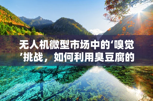 无人机微型市场中的‘嗅觉’挑战，如何利用臭豆腐的独特气味进行精准定位？