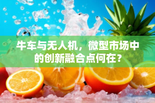 牛车与无人机，微型市场中的创新融合点何在？