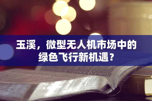 玉溪，微型无人机市场中的绿色飞行新机遇？