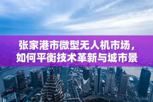 张家港市微型无人机市场，如何平衡技术革新与城市景观的和谐共存？