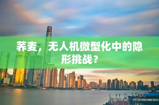 荞麦，无人机微型化中的隐形挑战？