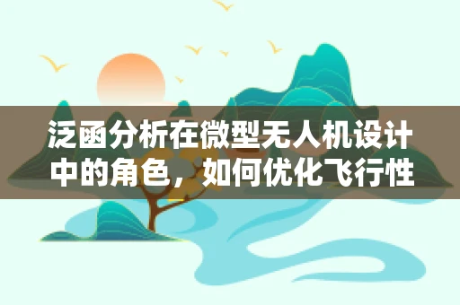 泛函分析在微型无人机设计中的角色，如何优化飞行性能与稳定性？