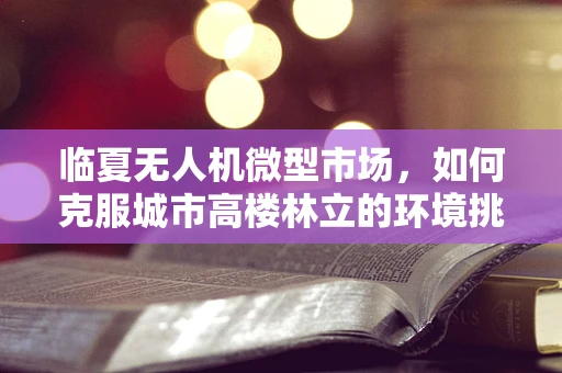 临夏无人机微型市场，如何克服城市高楼林立的环境挑战？