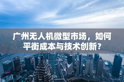 广州无人机微型市场，如何平衡成本与技术创新？