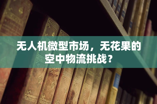 无人机微型市场，无花果的空中物流挑战？