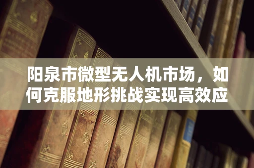 阳泉市微型无人机市场，如何克服地形挑战实现高效应用？