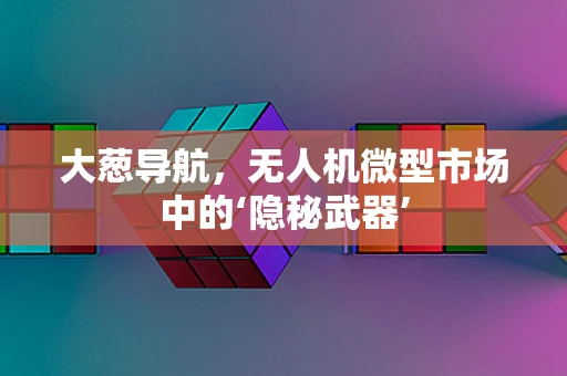 大葱导航，无人机微型市场中的‘隐秘武器’