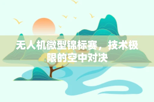 无人机微型锦标赛，技术极限的空中对决