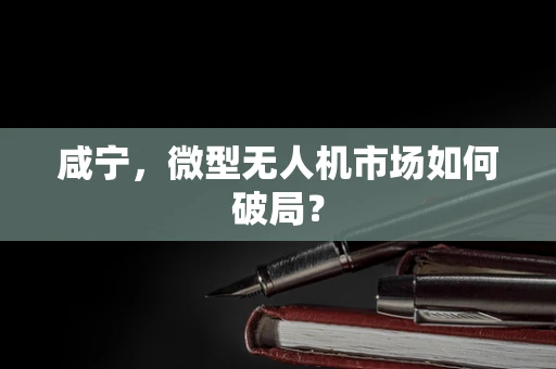 咸宁，微型无人机市场如何破局？