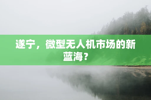 遂宁，微型无人机市场的新蓝海？