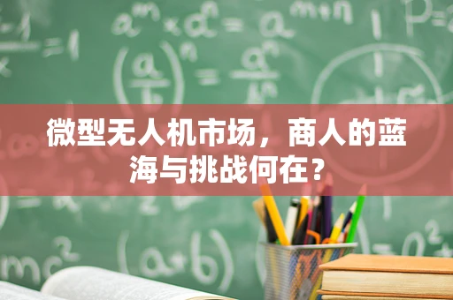 微型无人机市场，商人的蓝海与挑战何在？