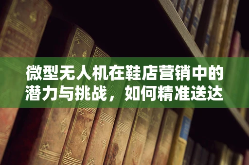 微型无人机在鞋店营销中的潜力与挑战，如何精准送达？